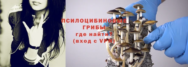 молекула духа Зеленокумск