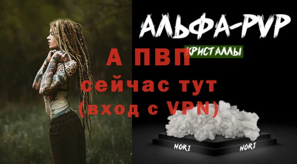 спиды Киреевск