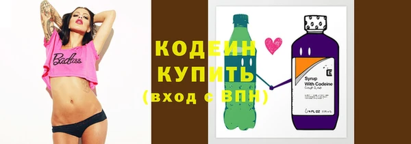 apvp Инта