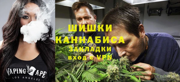 твердый Иннополис