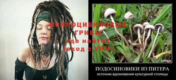 твердый Иннополис
