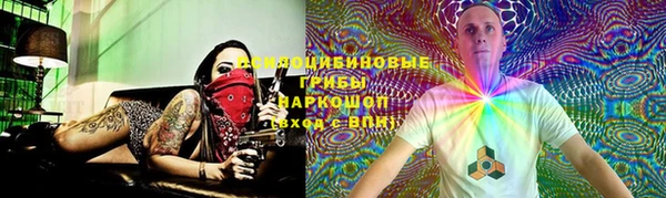 apvp Инта