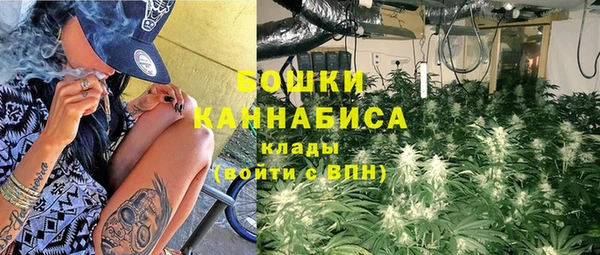 твердый Иннополис
