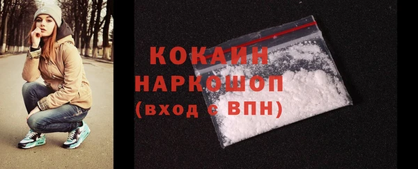 apvp Инта