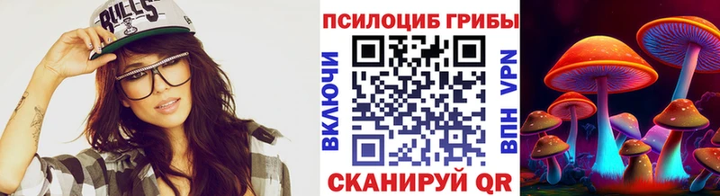 Галлюциногенные грибы Psilocybine cubensis  Купить где  Струнино 